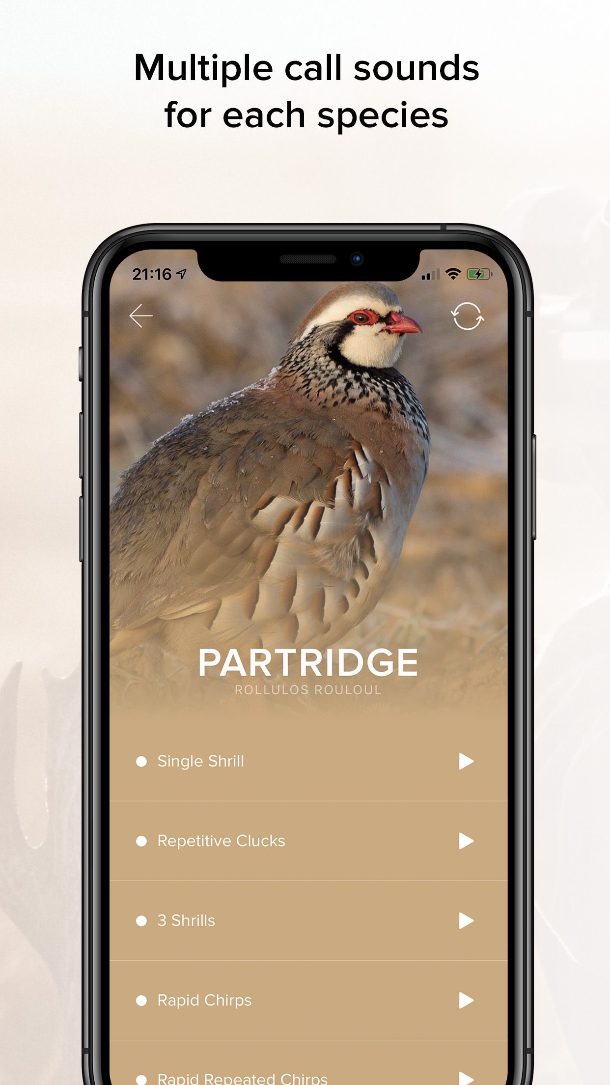 Screenshot 5 of Game Calls UK & Europe