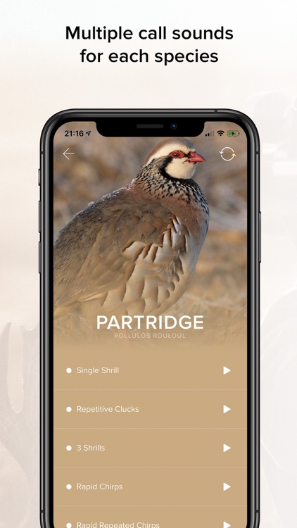 Game Calls UK & Europe screenshot-4