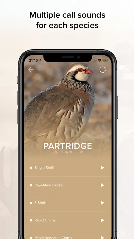 Game Calls UK & Europe screenshot 5 of 7