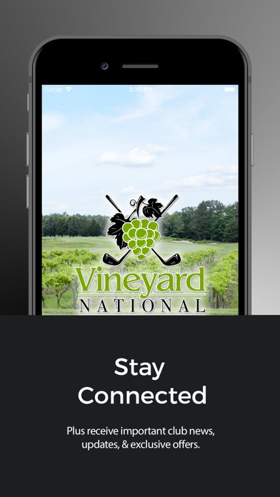 Vineyard National Screenshot