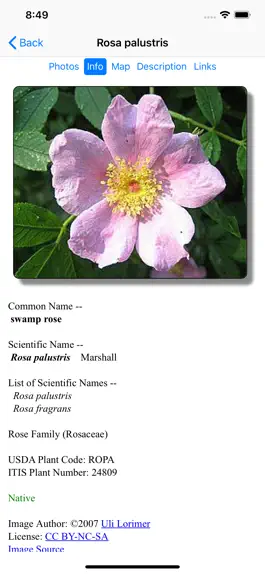 Game screenshot Tennessee Wildflowers hack