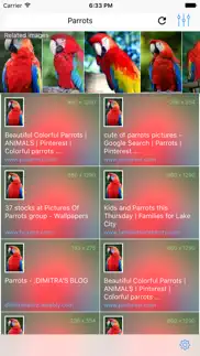 wizor – search by picture problems & solutions and troubleshooting guide - 4