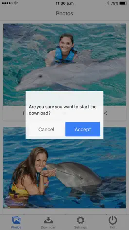 Game screenshot Dolphin Memories apk