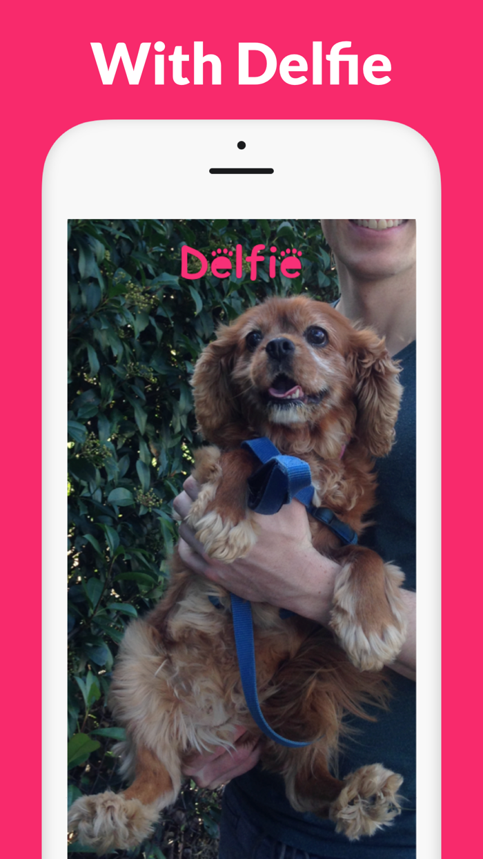 Dog Selfie Camera - Delfie