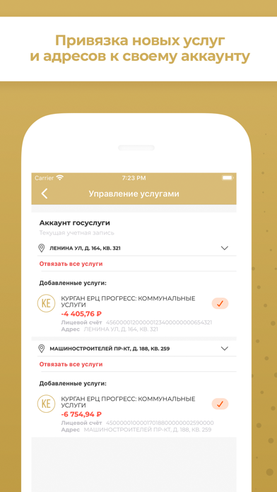 Регион 45: Курганская область Screenshot