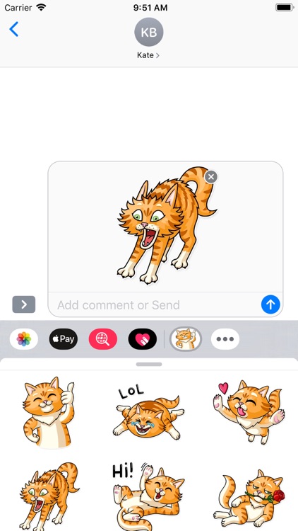 Cat Cattres Stickers Pack screenshot-5