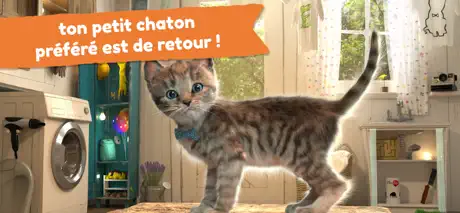 Petit chaton - Jeux d'aventure