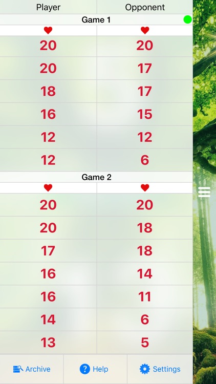 MTG Match Lite Life Counter