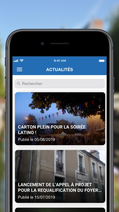 Ville de Nemours Screenshot