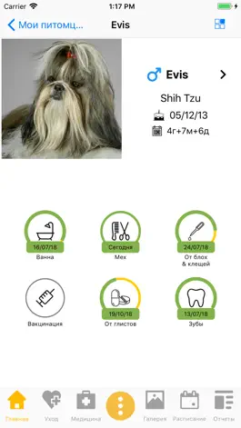 Game screenshot 11pets: Pet Care mod apk