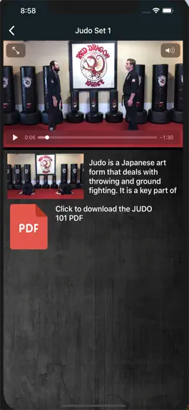 Game screenshot Red Dragon Karate hack