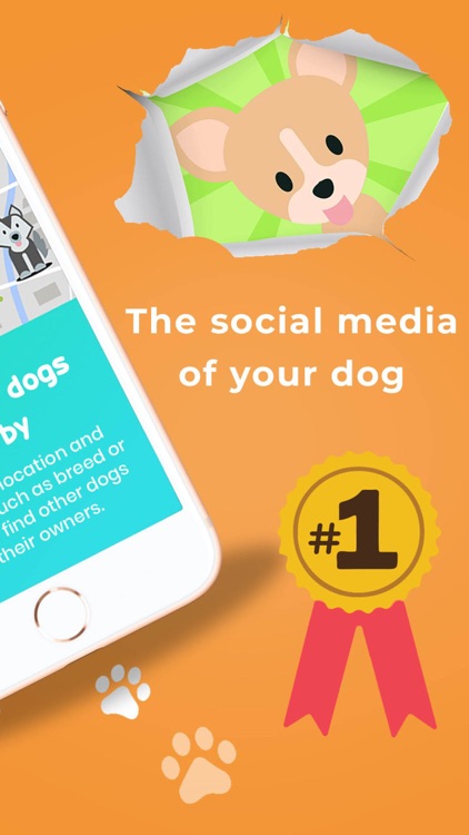 MatchDog - Dog Playdates