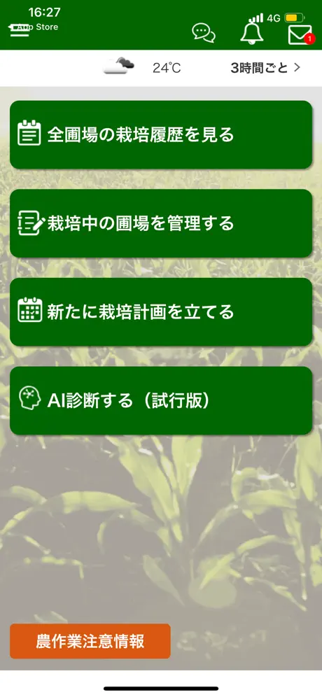 あい作栽培管理