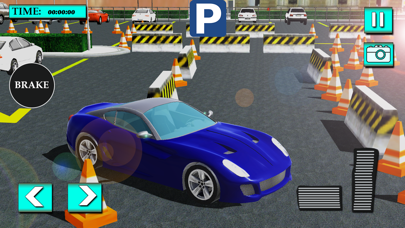 Valet Car Parking Games Screenshot