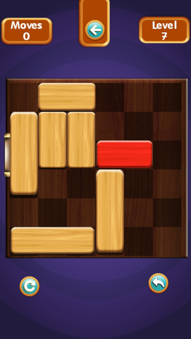 Unblock Puzzle Pro Screenshot