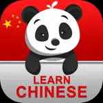 Chinese Learning: Everything App Positive Reviews