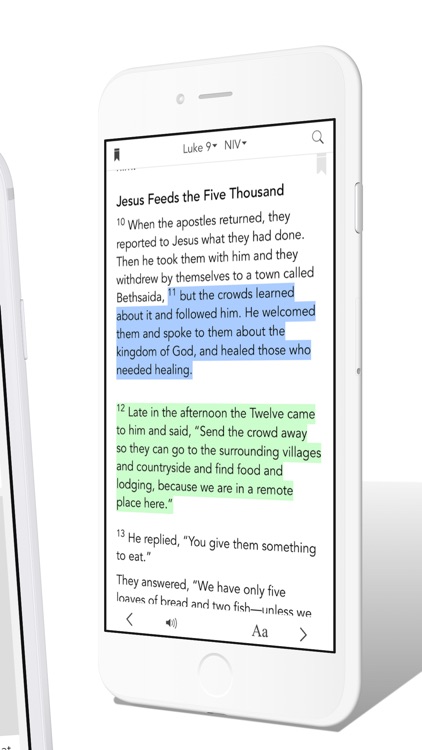 The Bay C.F.C. screenshot-4