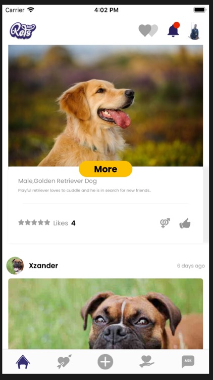 PetsFort screenshot-3