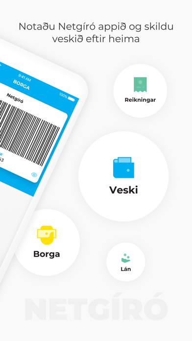 Netgíró Screenshot