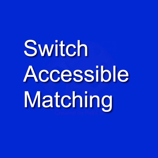 Switch Accessible - Matching icon