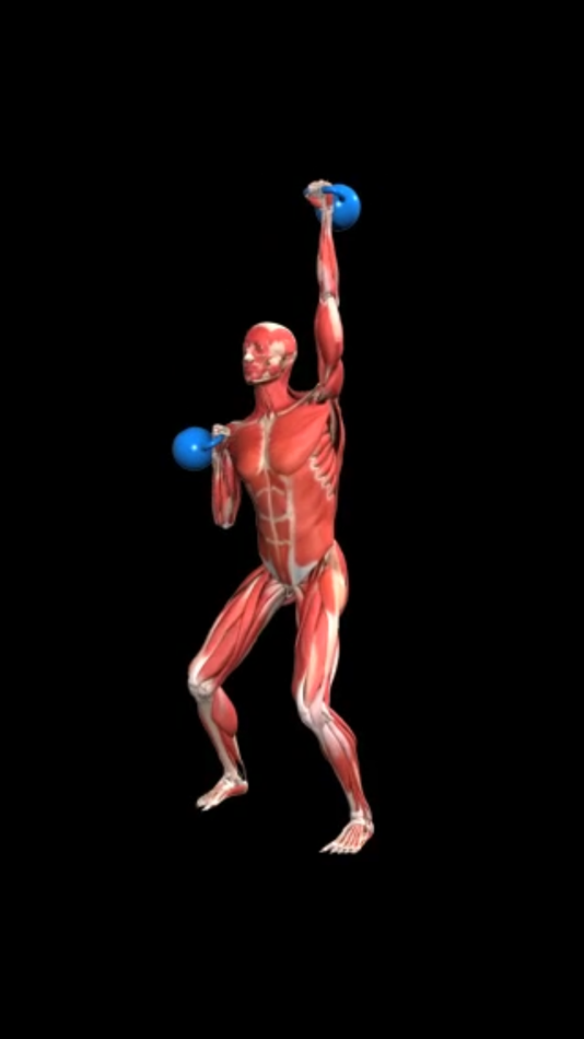 #1. iMuscle 2 - iPhone Edition (iOS) 由: 3D4Medical from Elsevier