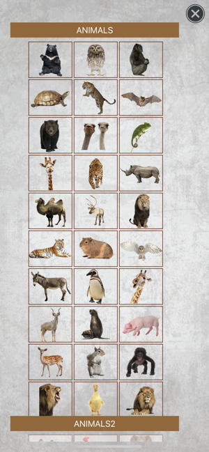 動物相機(圖3)-速報App
