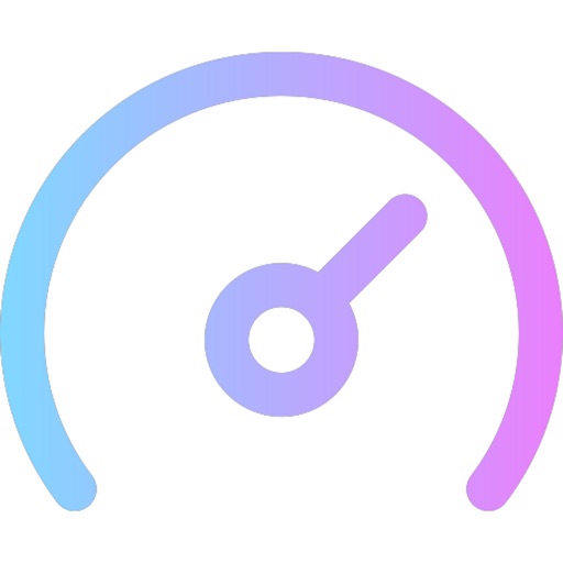 Vehicle SpeedoMeter Speed