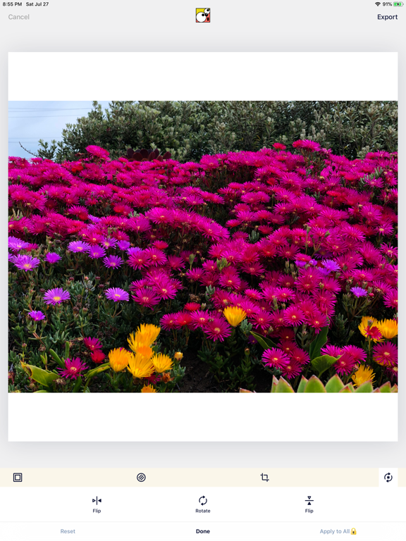 SquareDude - Square Fit Photo iPad screenshot 6 - Photo & Video app