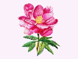 Pink Blooms is a beautiful set of stickers of glittered flowers and florals in pink