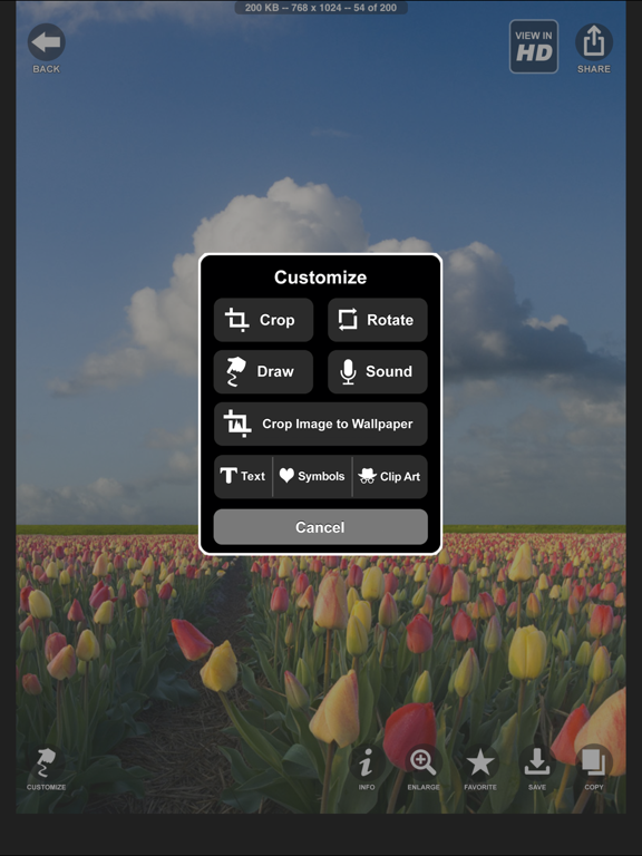 10,000,000 HD Wallpapers iPad screenshot 4 - Utilities app
