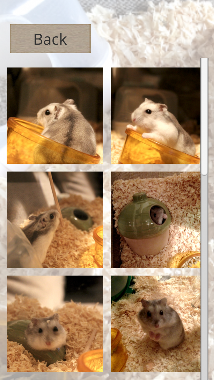 Hamster Slider Puzzle
