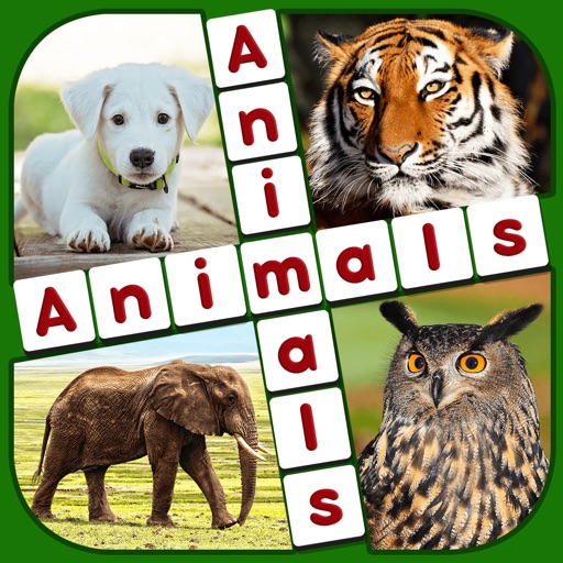 Guess Animal : Family Puzzle icon