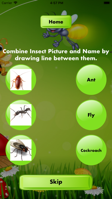 Combine Insects Picture Name screenshot 3