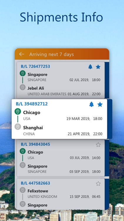 Safmarine Shipment