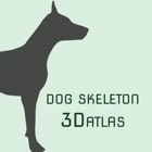 Dog Skeleton 3D Atlas