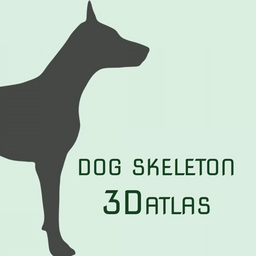Dog Skeleton 3D Atlas Icon