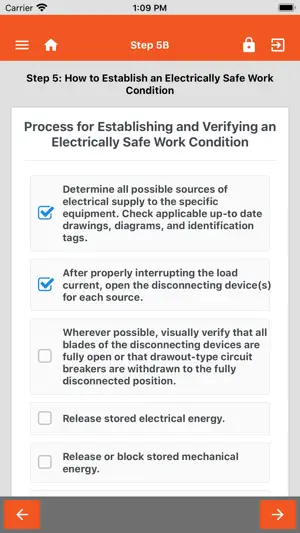 Electrical Risk Checklist NTT screenshot 3
