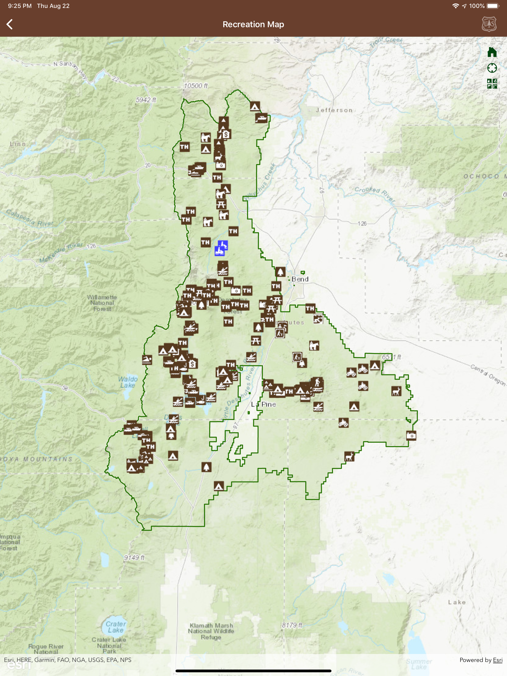 Pacific Northwest Forests