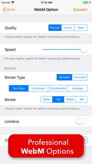 Video 2 WebM Cross Converter iphone bilder 1