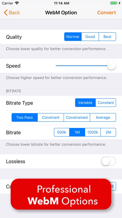 Video 2 WebM Cross Converter