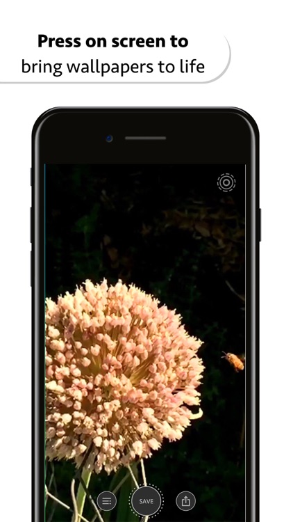 10000+ Wallpapers & Themes