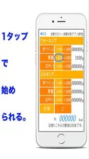 歩数カロリー消費計算アプリ iphone screenshot 3