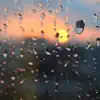 Rainy Sound App Feedback