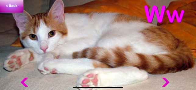 ABC Kittens - Learn Your ABC's(圖4)-速報App