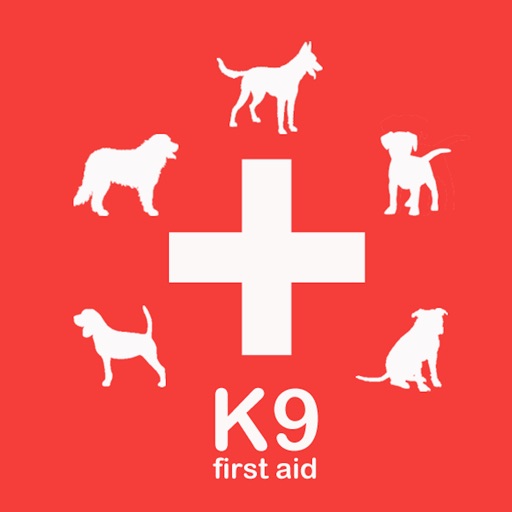 first aid for dogs K9 icon