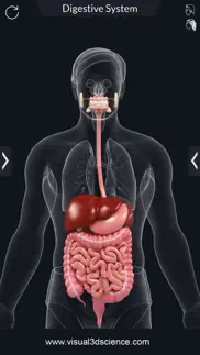 my digestive system anatomy iphone resimleri 2