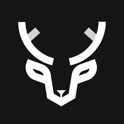 Hygge Story - Story Creator Читы