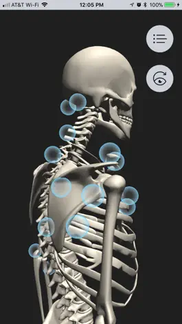 Game screenshot OT Kinesiology Pro Consult apk