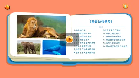 口袋动物乐园