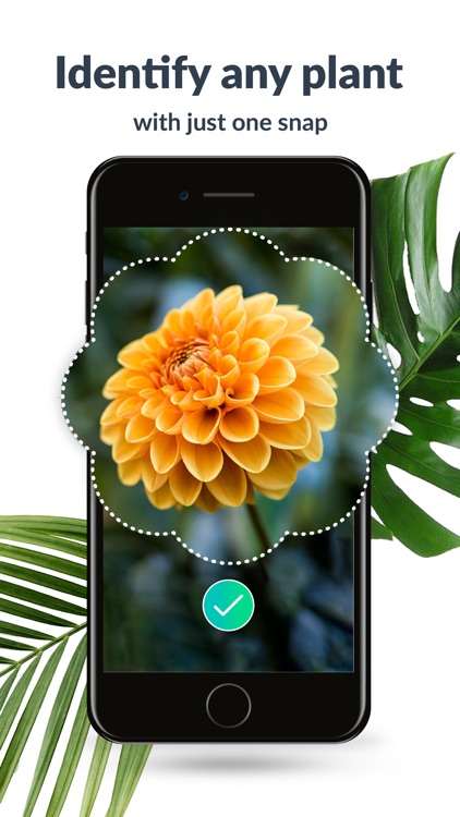 PlantSpot - Plant Identifier